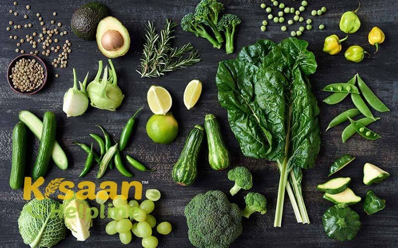 साग भाजी एवं परिरक्षण प्रशिक्षण केंद्र