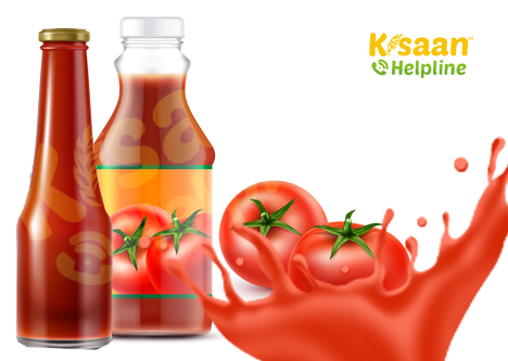 टमाटर सॉस / केचप प्रशिक्षण (Tomato Sauce / Ketchup Training)