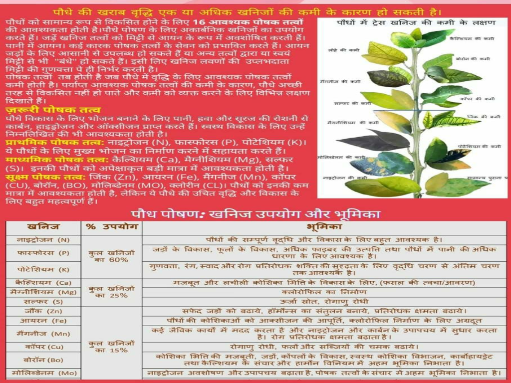 Agricultural Security & Soil Health (कृषि सुरक्षा & मृदा स्वास्थ्य)