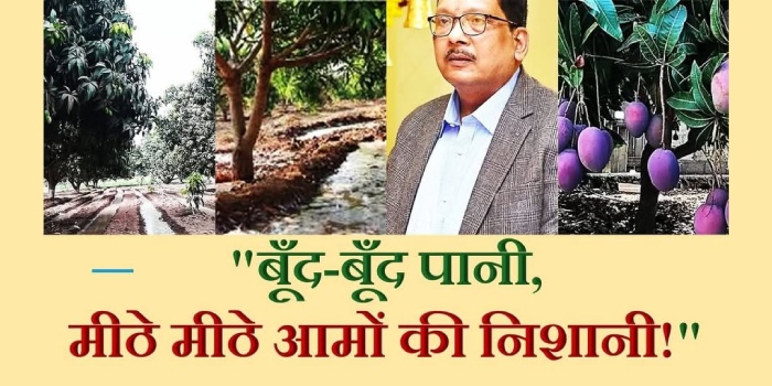 बूँद-बूँद पानी, मीठे मीठे आमों की निशानी!