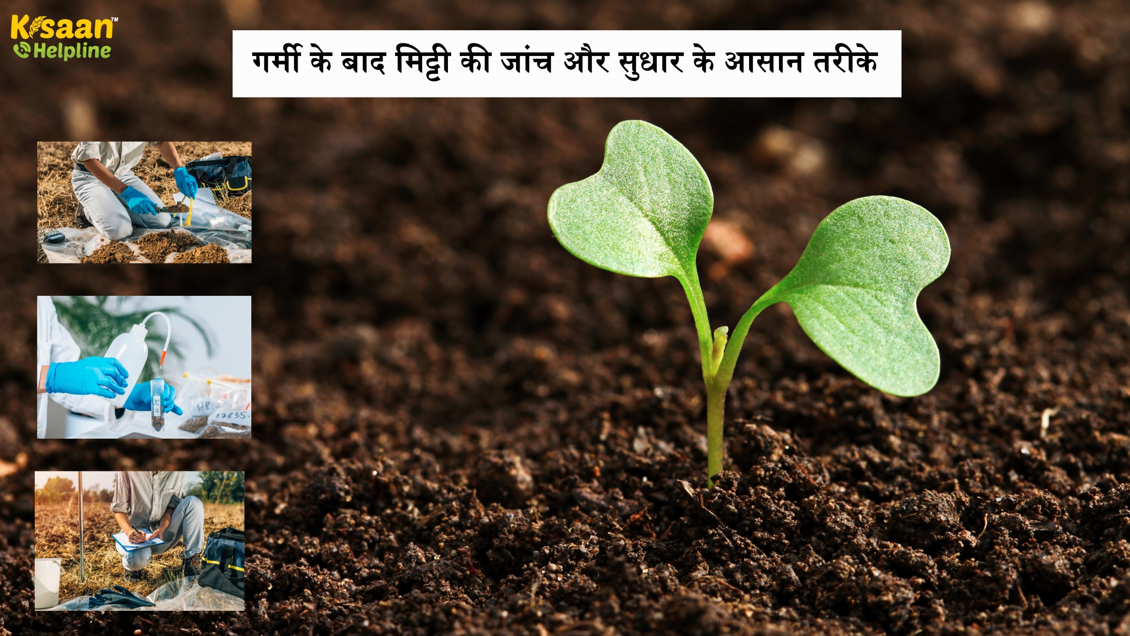 गर्मी के बाद मिट्टी की जांच और सुधार के आसान तरीके