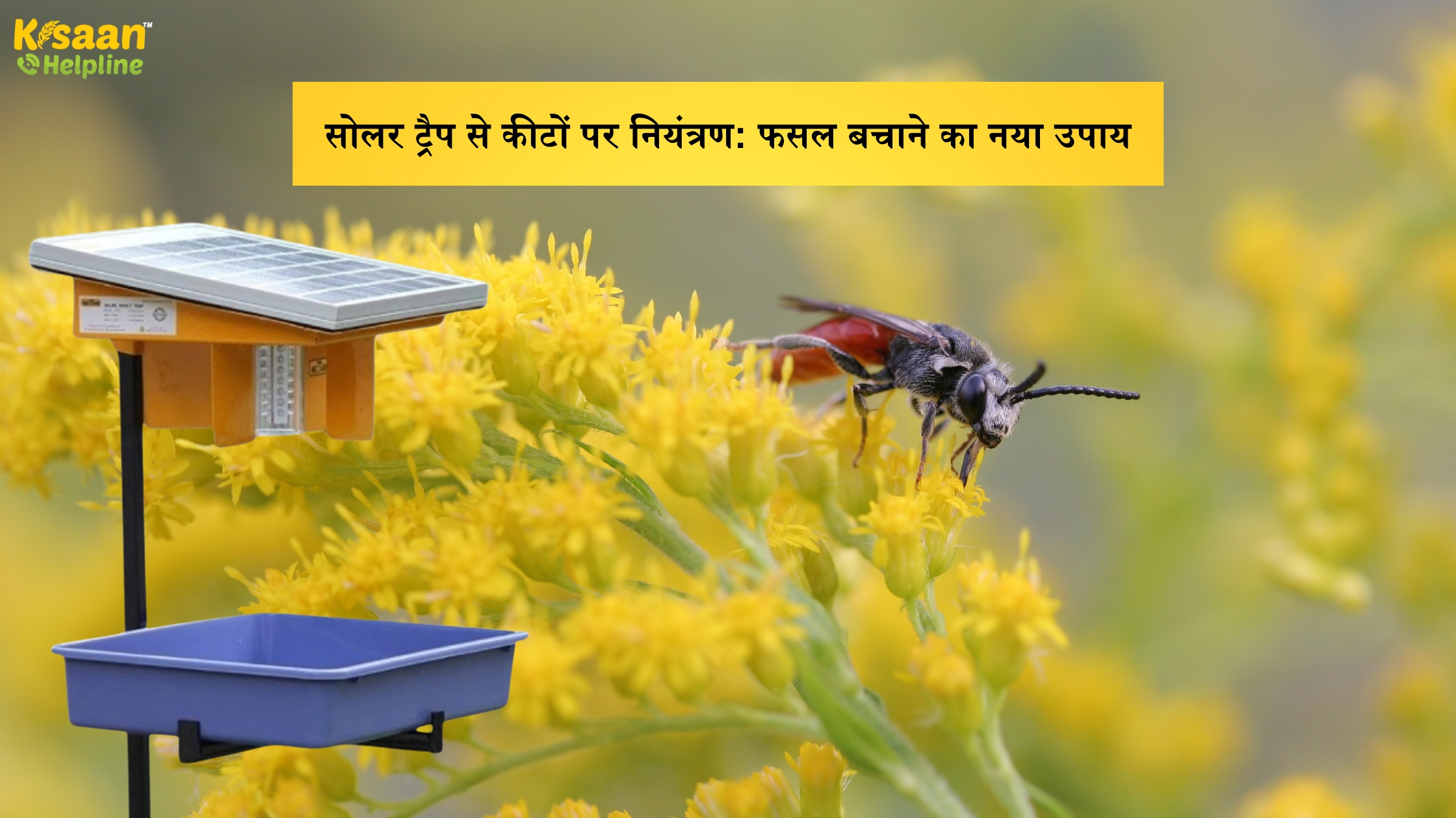 सोलर ट्रैप से कीटों पर नियंत्रण: फसल बचाने का नया उपाय