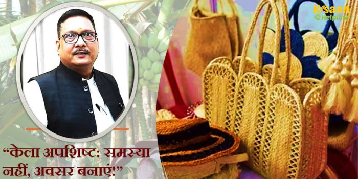 केला अपशिष्ट को बनाइए सोने की खान – चार गुना कचरा, चार गुना आय!