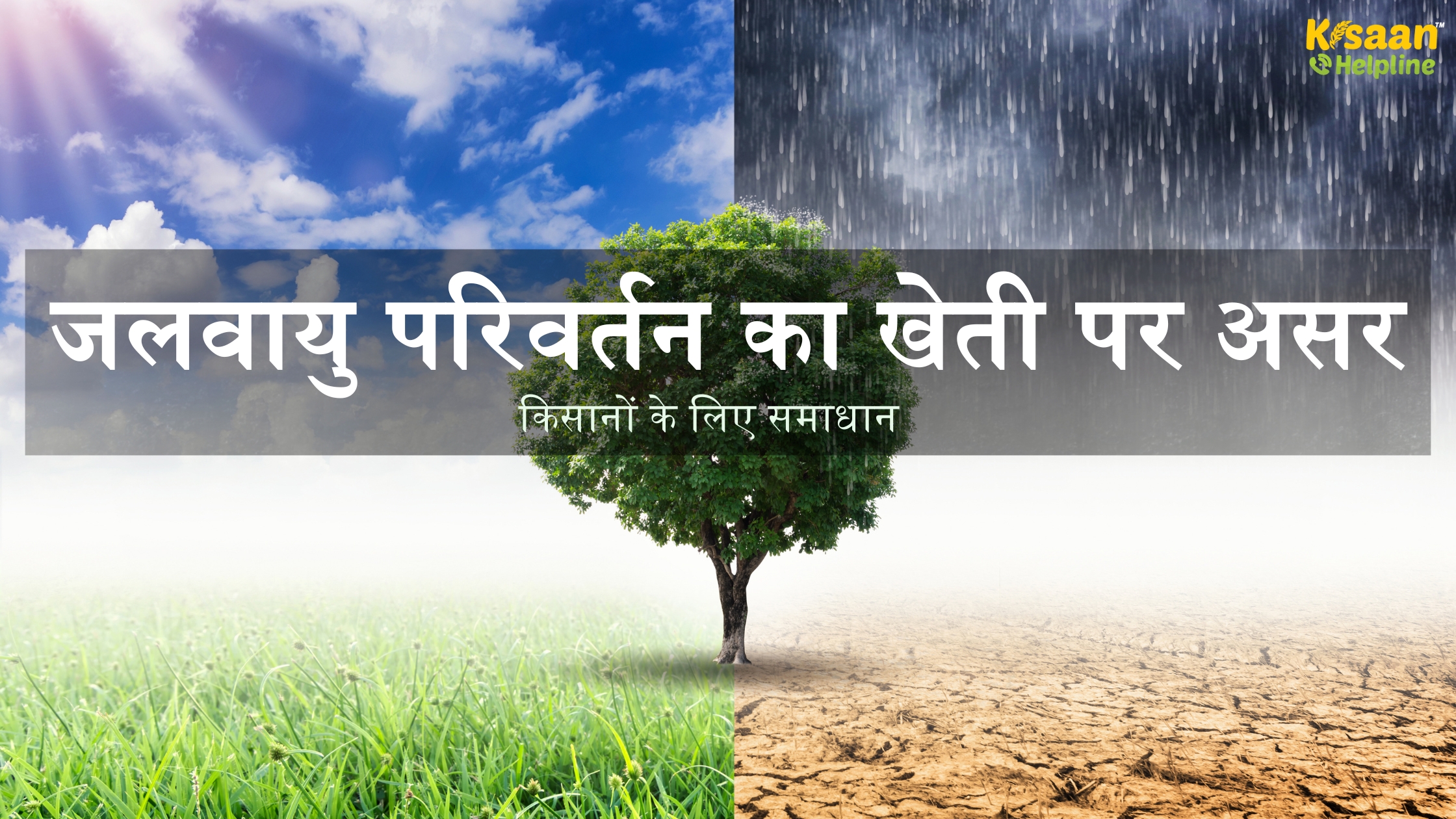 जलवायु परिवर्तन का खेती पर असर और किसानों के लिए समाधान