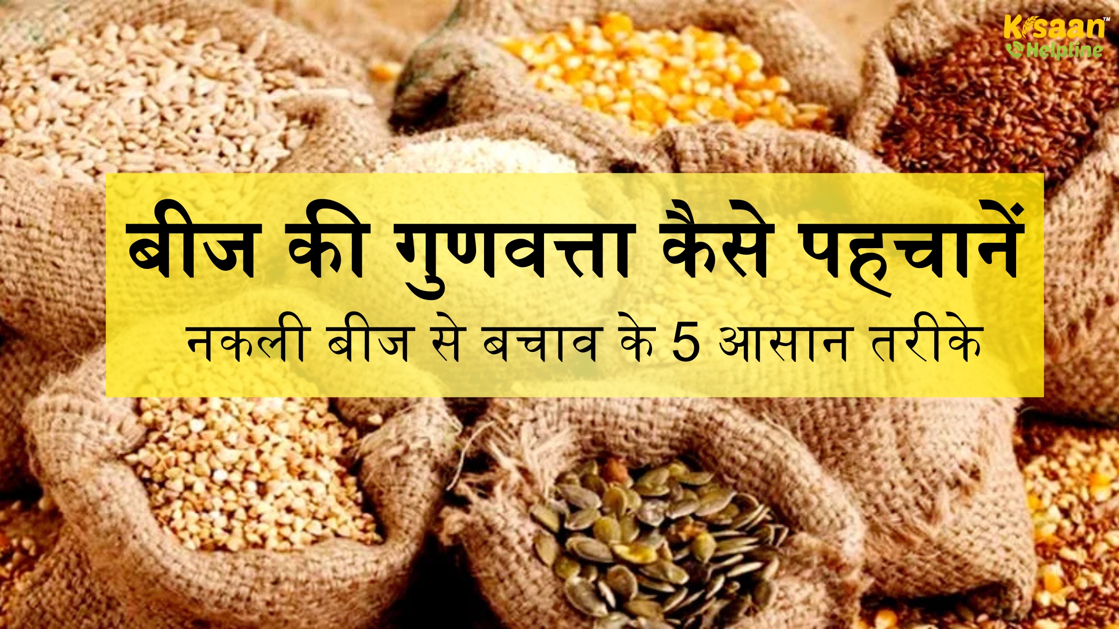 बीज की गुणवत्ता कैसे पहचानें: नकली बीज से बचाव के 5 आसान तरीके