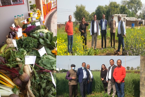 लीज पर जमीन लेकर शुरू की जैविक खेती, जानिए चंचल शांडिल्य की सफल कहानी