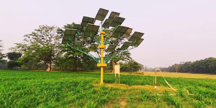 दुर्गम स्थानों पर भी लगा सकते है सोलर पावर ट्री , जहा पर बिजली पहुंचाना मुश्किल, बिजली का सस्ता एवं बेहतर विकल्प