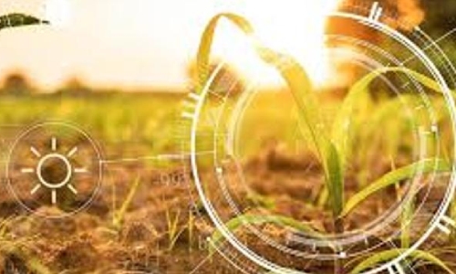 Time Elements in decision making: