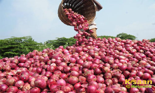 Rabi Onion (रबी प्याज)